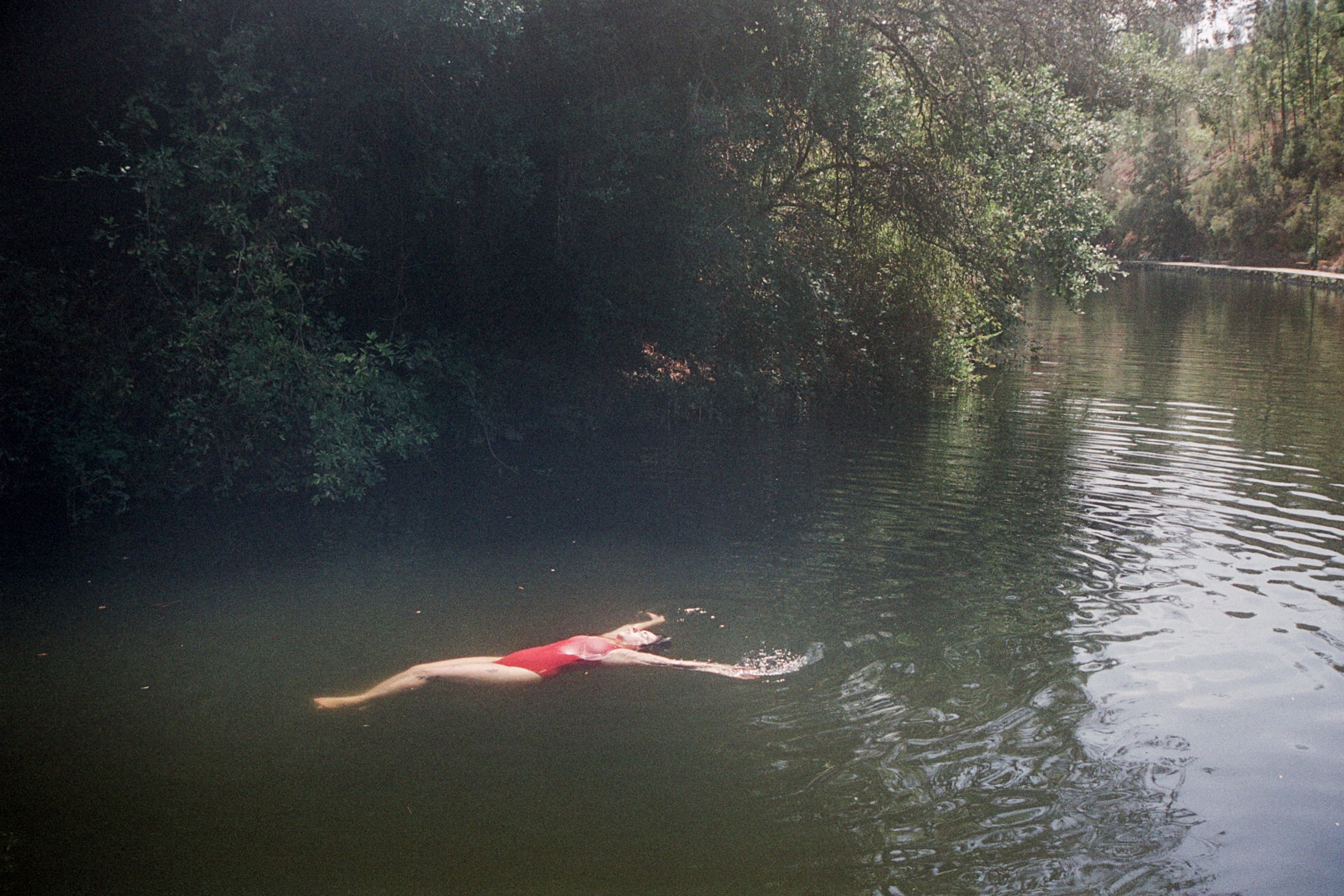 Journal photograph 1
