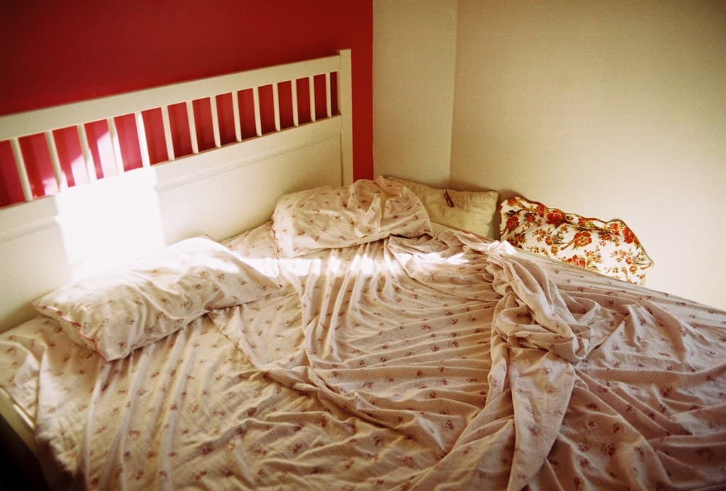 Journal photograph 2